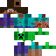 Texture for steve erido