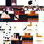 Texture for ds