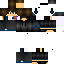 Texture for sbris3
