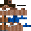 Texture for Steve