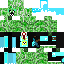 Texture for creeper pro