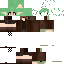 Texture for library