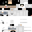 Texture for thisisapvpskin