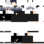 Texture for DSI4455