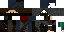 Texture for Ninja