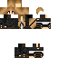 Texture for lupa luna
