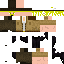 Texture for Baldwin