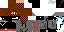 Texture for remus