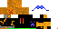Texture for ICSH