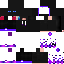 Texture for ender men0