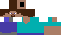 Texture for Steve lice
