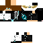 Texture for legend