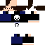 Texture for ｄｓ