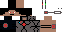Texture for future aniper