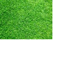 Texture for grass bench