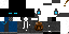 Texture for Ender