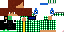 Texture for Dedis