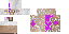 Texture for pink under the wool sheep