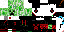 Texture for steve