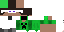 Texture for Ender