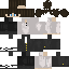 Texture for connor