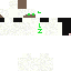 Texture for lznerd