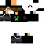 Texture for ds