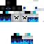 Texture for endermen