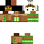 Texture for asteca