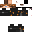 Texture for joel