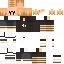 Texture for beeboy