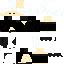 Texture for Skibidi