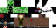 Texture for Enderman_Creeper Bot
