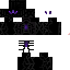 Texture for DS013