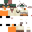 Texture for Cenor4