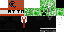 Texture for Stylish Creeper