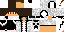 Texture for steve