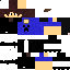 Texture for IrregularBug Preto
