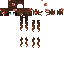 Texture for V1