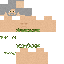Texture for SURVIVOR