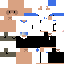 Texture for raccoondog