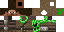 Texture for Creeper Hunter