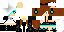 Texture for Nyny