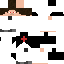Texture for Vapire