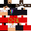 Texture for hola tet