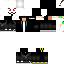 Texture for Hacker Project zorgo pz1