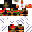 Texture for t699