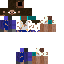 Texture for Steve