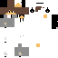 Texture for gaima