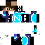 Texture for NAPULE